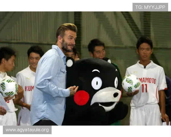 凯发集团官网首页:用户体验优化措施与界面设计的最新改进动态