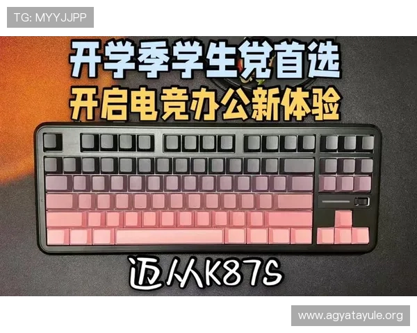 利用K8电竞官网提升你的电竞水平的实用学习资源推荐