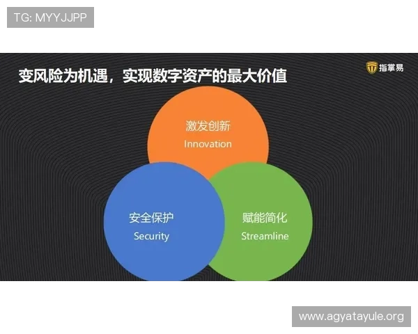 wm视讯游戏安全可靠平台推荐保障玩家资金与个人信息安全的最佳选择