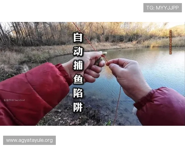 如何在ag捕鱼网站中避免常见陷阱保障资金安全的实用建议