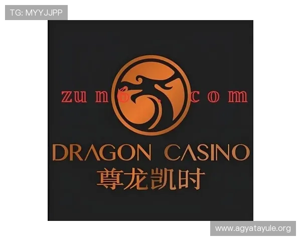 尊龙凯时百家乐z6com平台的用户体验优化措施与界面设计亮点