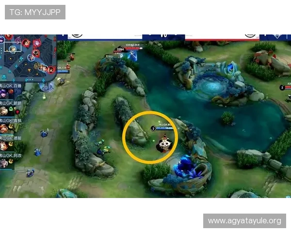 提升AG厅总部会员登录体验的界面设计与安全策略