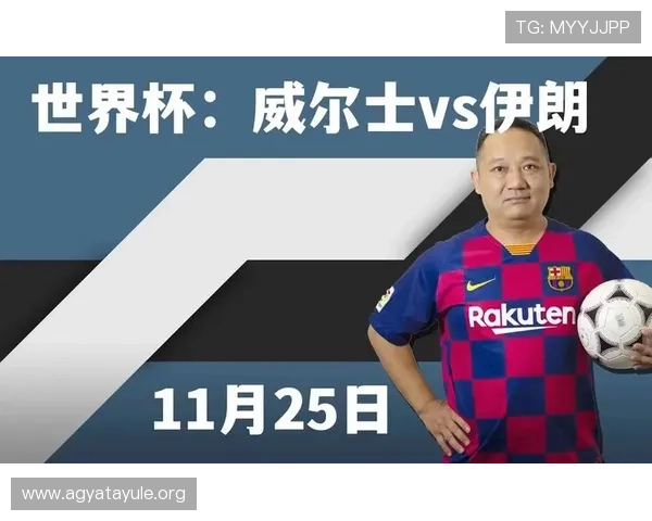 世界杯比利时伊朗比赛中VAR技术的具体操作流程及裁判应用指南